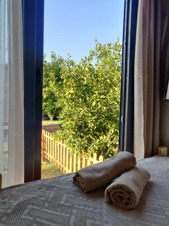 Gaia Tiny Houses Butik Hotel Bodrum Extérieur photo