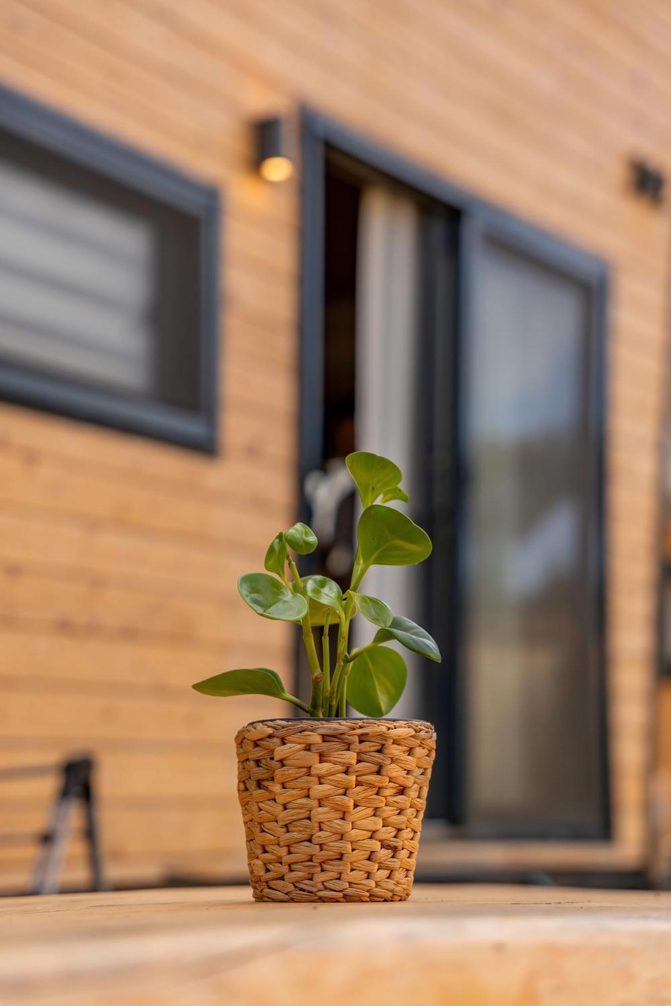 Gaia Tiny Houses Butik Hotel Bodrum Extérieur photo