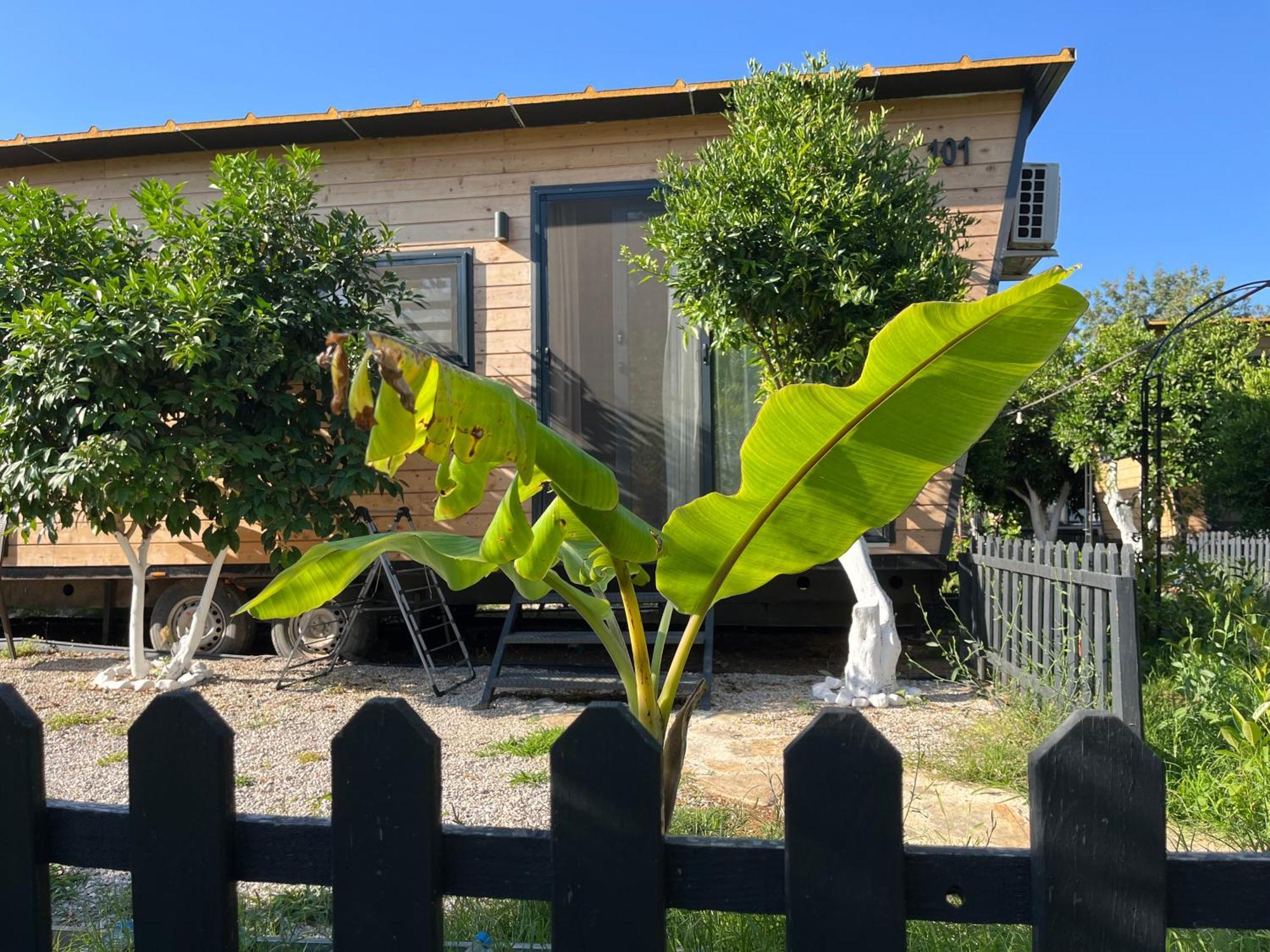 Gaia Tiny Houses Butik Hotel Bodrum Extérieur photo